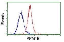 PPM1B Monoclonal Antibody (OTI3C9), TrueMAB , OriGene 100 &mu;L; Unconjugated:Antibodies,