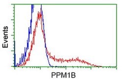 PPM1B Monoclonal Antibody (OTI2D9), TrueMAB , OriGene 30 &mu;L; Unconjugated:Antibodies,