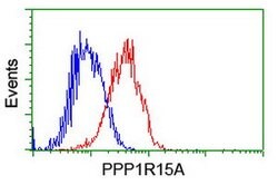 PPP1R15A Mouse anti-Human, Mouse, Clone: OTI2B11, lyophilized, TrueMAB