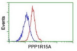 PPP1R15A Mouse anti-Human, Mouse, Clone: OTI2B11, lyophilized, TrueMAB