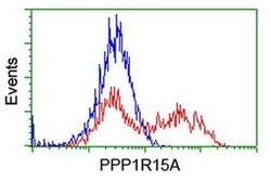 PPP1R15A Monoclonal Antibody (OTI4F1), TrueMAB , OriGene 30 &mu;L; Unconjugated:Antibodies,