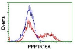 PPP1R15A Monoclonal Antibody (OTI1E1), TrueMAB , OriGene 100 &mu;L; Unconjugated:Antibodies,