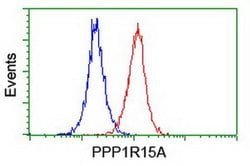 PPP1R15A Monoclonal Antibody (OTI1E1), TrueMAB , OriGene 100 &mu;L; Unconjugated:Antibodies,