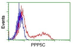 PPP5C Mouse anti-Canine, Human, Clone: OTI4G8, lyophilized, TrueMAB 100