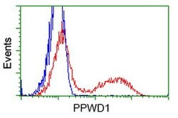 PPWD1 Mouse anti-Human, Clone: OTI1G6, lyophilized, TrueMAB 100 &mu;g;