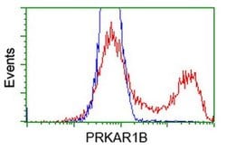 PRKAR1B Monoclonal Antibody (OTI2A3), TrueMAB , OriGene 100 &mu;L; Unconjugated:Antibodies,