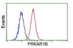 PRKAR1B Monoclonal Antibody (OTI2A3), TrueMAB , OriGene 100 &mu;L; Unconjugated:Antibodies,