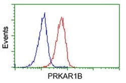 PRKAR1B Monoclonal Antibody (OTI2A3), TrueMAB , OriGene 100 &mu;L; Unconjugated:Antibodies,