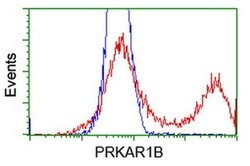 PRKAR1B Monoclonal Antibody (OTI9C5), TrueMAB , OriGene 30 &mu;L; Unconjugated:Antibodies,