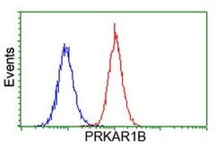 PRKAR1B Mouse anti-Human, Clone: OTI9C5, lyophilized, TrueMAB 100 &mu;g;