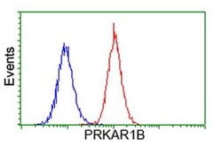 PRKAR1B Monoclonal Antibody (OTI9C5), TrueMAB , OriGene 30 &mu;L; Unconjugated:Antibodies,