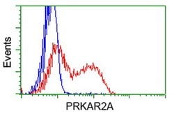 PRKAR2A Mouse anti-Human, Clone: OTI1G7, lyophilized, TrueMAB 100 &mu;g | Buy Online | Origene Technologies | Fisher Scientific