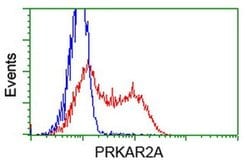 PRKAR2A Monoclonal Antibody (OTI1C4), TrueMAB , OriGene 30 &mu;L; Unconjugated:Antibodies,