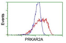 PRKAR2A Mouse anti-Human, Clone: OTI1F8, lyophilized, TrueMAB 100 &mu;g;