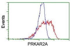 PRKAR2A Mouse anti-Human, Clone: OTI1F8, liquid, TrueMAB 30 &mu;L; Unconjugated:Antibodies,