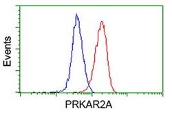 PRKAR2A Mouse anti-Human, Clone: OTI1F8, lyophilized, TrueMAB 100 &mu;g;