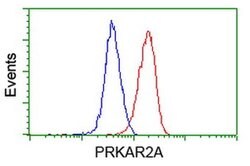 PRKAR2A Mouse anti-Human, Clone: OTI1F8, liquid, TrueMAB 30 &mu;L; Unconjugated:Antibodies,