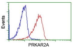 PRKAR2A Mouse anti-Human, Clone: OTI1F8, lyophilized, TrueMAB 100 &mu;g;