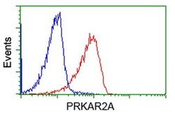 PRKAR2A Mouse anti-Human, Clone: OTI1F8, liquid, TrueMAB 30 &mu;L; Unconjugated:Antibodies,