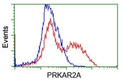 PRKAR2A Mouse anti-Canine, Human, Rat, Clone: OTI5F1, liquid, TrueMAB 100
