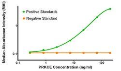 PRKCE Mouse anti-Human, Clone: OTI1B7, liquid, TrueMAB 100 &mu;g; Unconjugated:Antibodies,