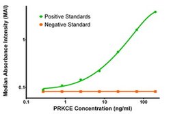 PRKCE Mouse anti-Human, Clone: OTI1B7, liquid, TrueMAB 100 &mu;g; Unconjugated:Antibodies,