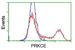 PRKCE Mouse anti-Canine, Human, Clone: OTI2E9, lyophilized, TrueMAB 100