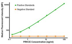 PRKCE Mouse anti-Human, Clone: OTI1B7, liquid, TrueMAB 100 &mu;g; Unconjugated:Antibodies,