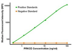 PRKCE Mouse anti-Human, Clone: OTI1B7, liquid, TrueMAB 100 &mu;g; Unconjugated:Antibodies,