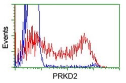 PRKD2 Monoclonal Antibody (OTI2E2), TrueMAB , OriGene 100 &mu;L; Unconjugated:Antibodies,