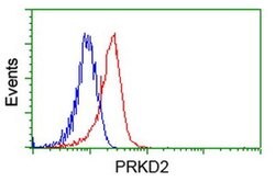 PRKD2 Monoclonal Antibody (OTI5A3), TrueMAB , OriGene 30 &mu;L; Unconjugated:Antibodies,