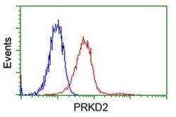 PRKD2 Monoclonal Antibody (OTI5A3), TrueMAB , OriGene 30 &mu;L; Unconjugated:Antibodies,