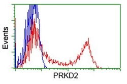 PRKD2 Monoclonal Antibody (OTI3A1), TrueMAB , OriGene 30 &mu;L; Unconjugated:Antibodies,