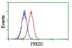 PRKD2 Monoclonal Antibody (OTI3B12), TrueMAB , OriGene 30 &mu;L; Unconjugated:Antibodies,