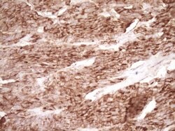 PROCR Mouse anti-Human, Clone: OTI3E7, lyophilized, TrueMAB 100 &mu;g;