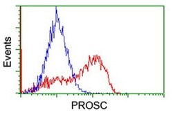 PROSC Monoclonal Antibody (OTI1G2), TrueMAB , OriGene 100 &mu;L | Buy Online | OriGene | Fisher Scientific