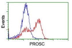 PROSC Mouse anti-Human, Clone: OTI3A6, lyophilized, TrueMAB 100 &mu;g;