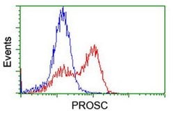 PROSC Monoclonal Antibody (OTI3A6), TrueMAB , OriGene 30 &mu;L; Unconjugated:Antibodies,