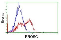 PROSC Monoclonal Antibody (OTI2H1), TrueMAB , OriGene:Antibodies:Primary
