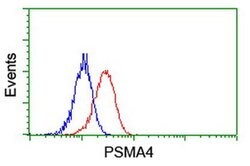 PSMA4 Monoclonal Antibody (OTI2D12), TrueMAB , OriGene:Antibodies:Primary