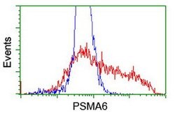 PSMA6 Mouse anti-Canine, Human, Mouse, Rat, Clone: OTI4C9, lyophilized,