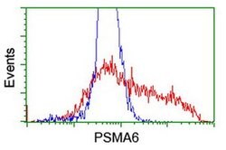 PSMA6 Monoclonal Antibody (OTI4C9), TrueMAB , OriGene 100 &mu;L; Unconjugated:Antibodies,