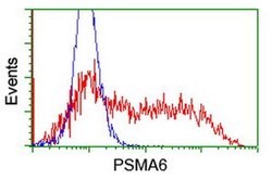 PSMA6 Monoclonal Antibody (OTI5H3), TrueMAB , OriGene 100 &mu;L; Unconjugated:Antibodies,