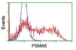 PSMA6 Monoclonal Antibody (OTI2A6), TrueMAB , OriGene 100 &mu;L; Unconjugated:Antibodies,