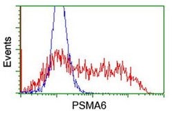 PSMA6 Monoclonal Antibody (OTI1F3), TrueMAB , OriGene 100 &mu;L; Unconjugated:Antibodies,