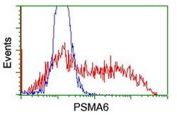 PSMA6 Mouse anti-Canine, Human, Mouse, Rat, Clone: OTI7C2, lyophilized,