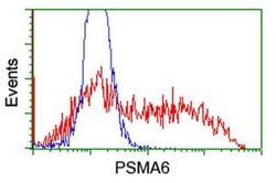 PSMA6 Monoclonal Antibody (OTI7C2), TrueMAB , OriGene 100 &mu;L; Unconjugated:Antibodies,
