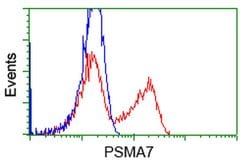 PSMA7 Mouse anti-Human, Clone: OTI5E3, liquid, TrueMAB 100 &mu;L; Unconjugated:Antibodies,