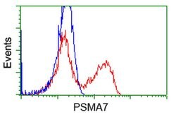 PSMA7 Mouse anti-Human, Clone: OTI3F11, liquid, TrueMAB 100 &mu;L; Unconjugated:Antibodies,