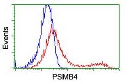 PSMB4 Monoclonal Antibody (OTI5B5), TrueMAB , OriGene 100 &mu;L; Unconjugated:Antibodies,